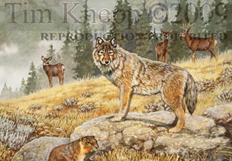 Tim Knepp